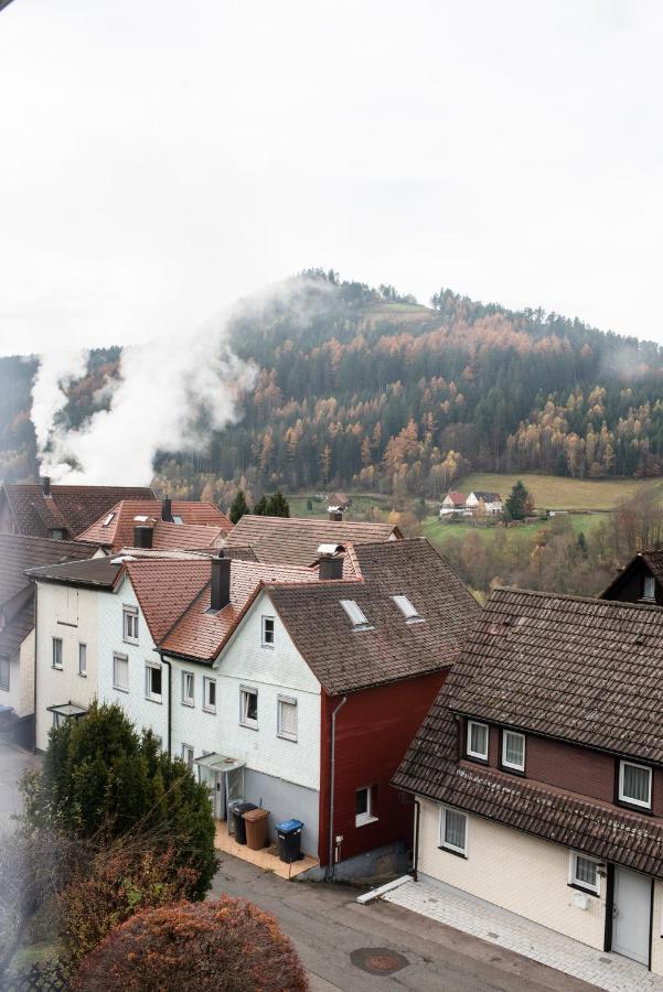 Apartamento HAUS IRENE gemütlich moderner Schwarzwald Baiersbronn Exterior foto